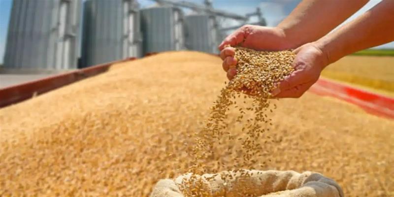 PCMC तहलका